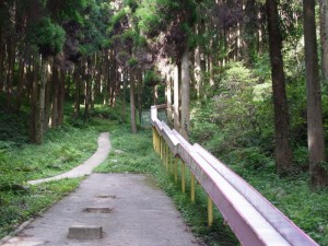 滑らなくてびっくり!